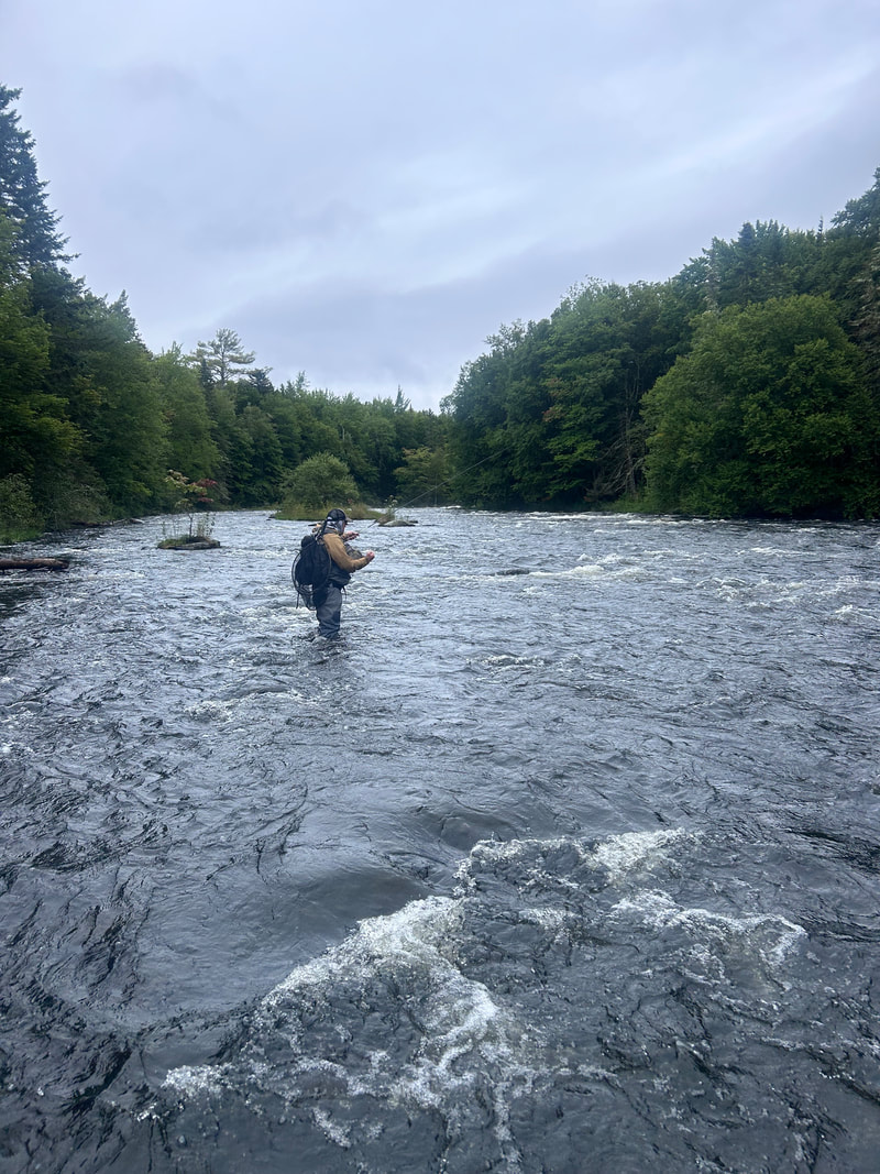Upstate New York Fishing Report – October 18, 2018 - On The Water